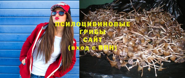 винт Арсеньев