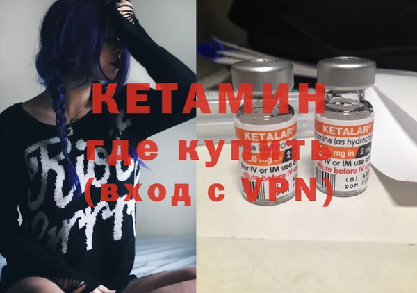 сатива Балахна
