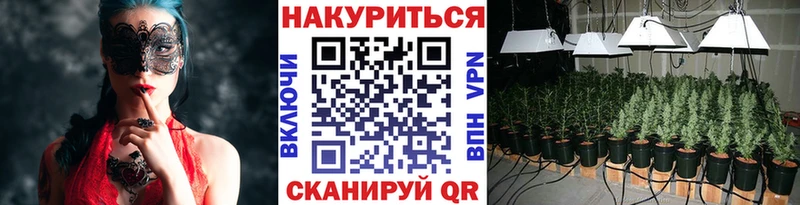 где найти   Бронницы  Марихуана SATIVA & INDICA 